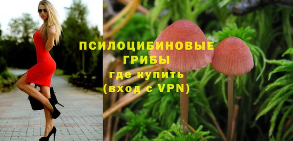 Альфа ПВП Армянск