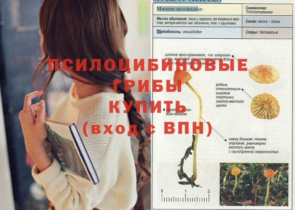 Альфа ПВП Армянск