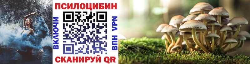 Псилоцибиновые грибы мицелий  Шацк 