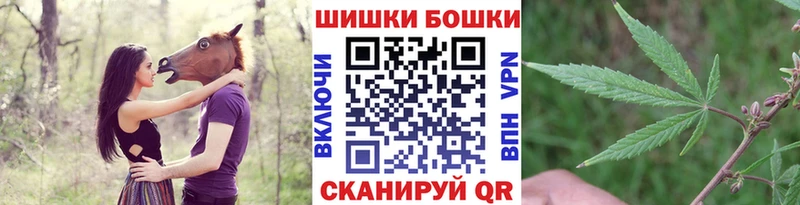 Каннабис OG Kush  наркотики  Шацк 